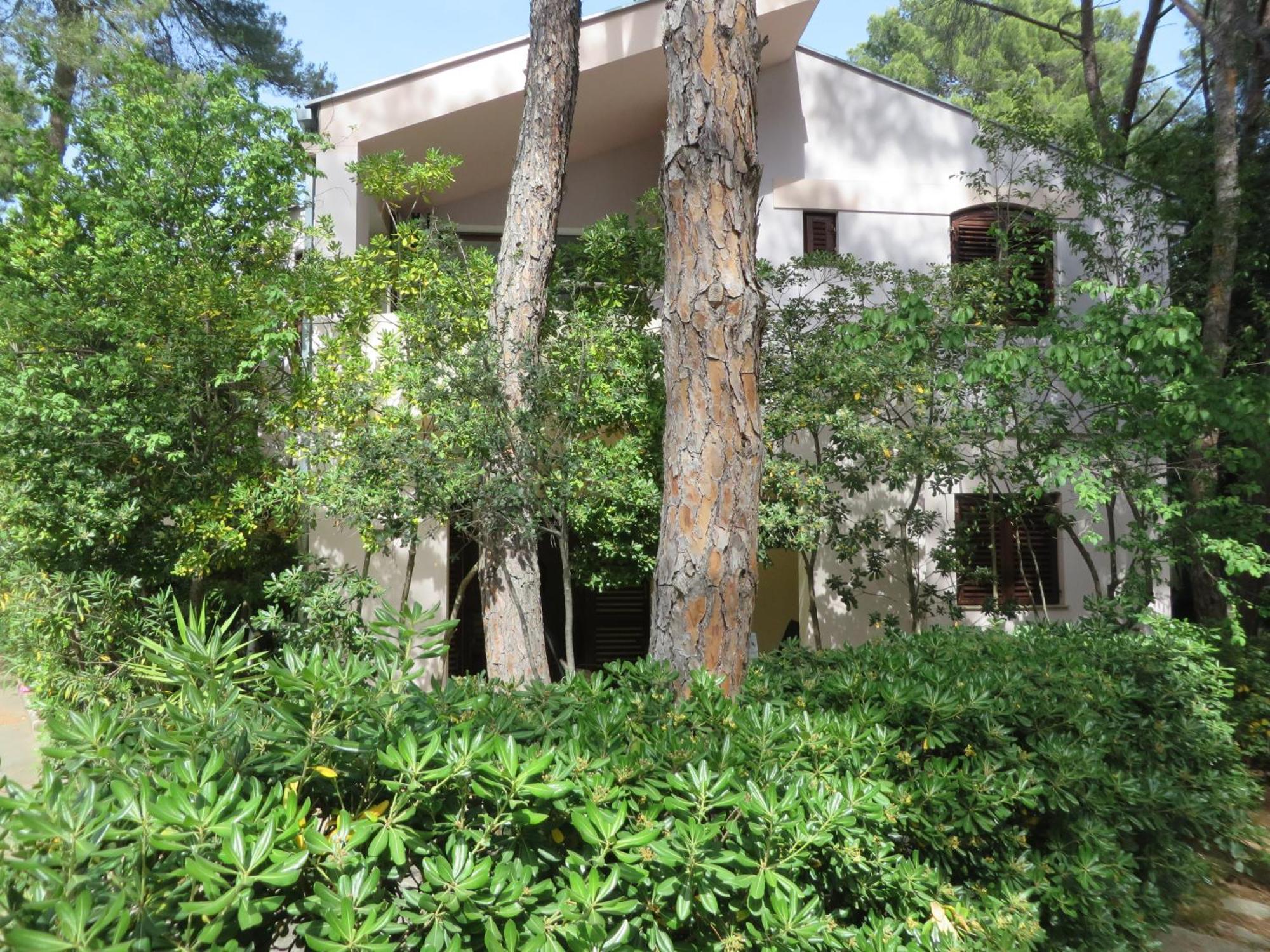 Soline Beach Apartments Biograd Na Moru Room photo